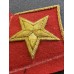 МАРШАЛ Советского Союза, петлицы и нарукавные знаки, обр. 1935 г.